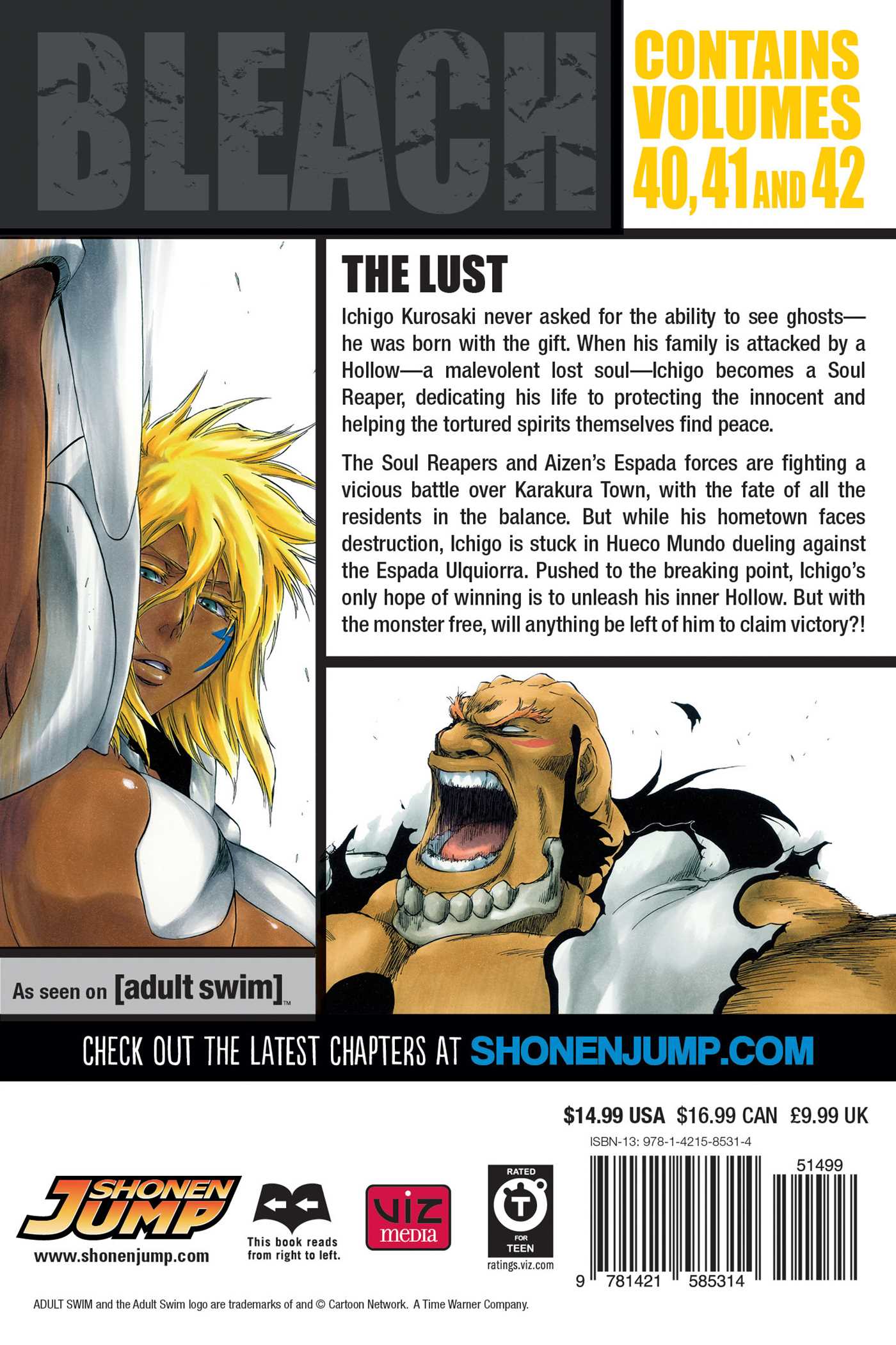 Back Cover Bleach 3 in 1 Edition Back Vol. 14